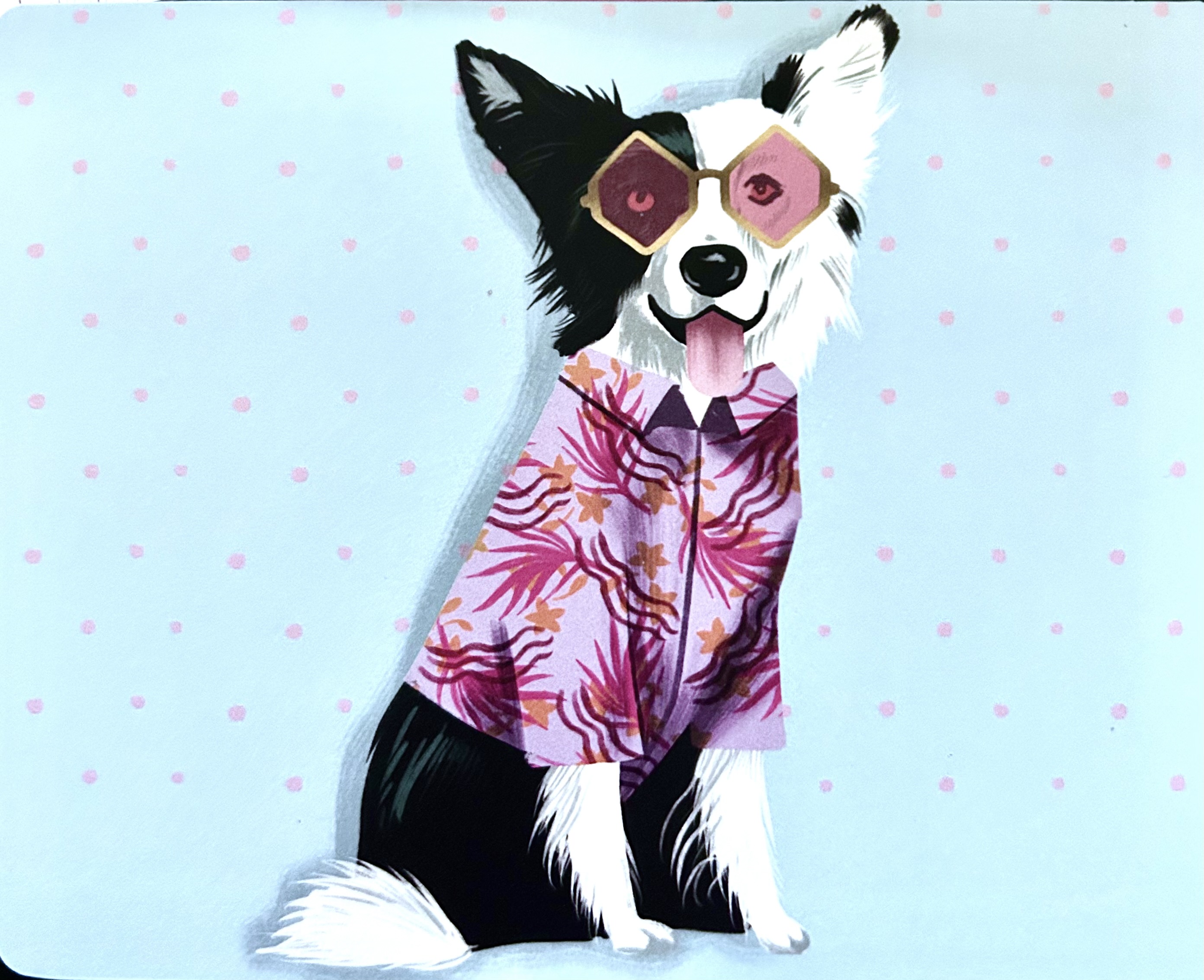 Cool Dog - Postcards Etc